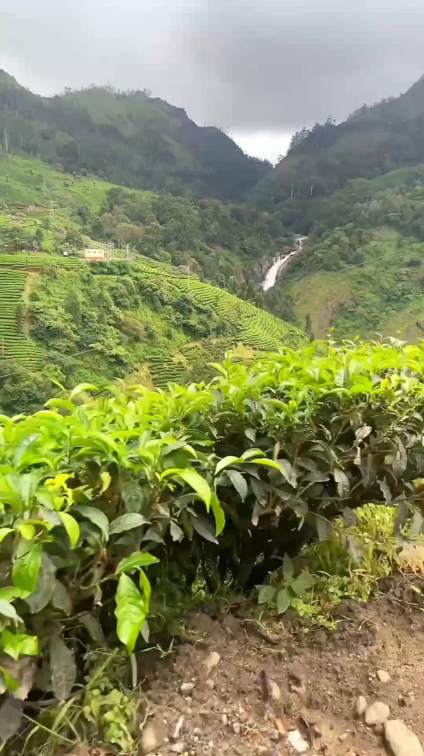 Munnar