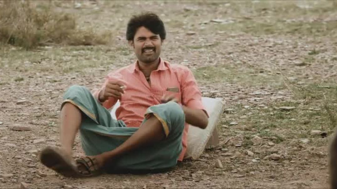 Cocoons | Tamil Dubbed Movie 2026